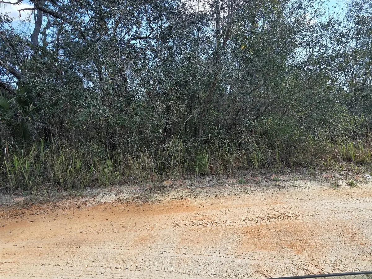 S 7th Street, Deland, FL 32724 - #1