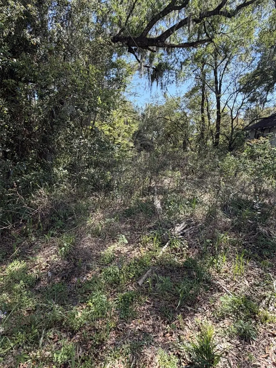 110 E Mercers Fernery Road, Deland, FL 32724 - #1