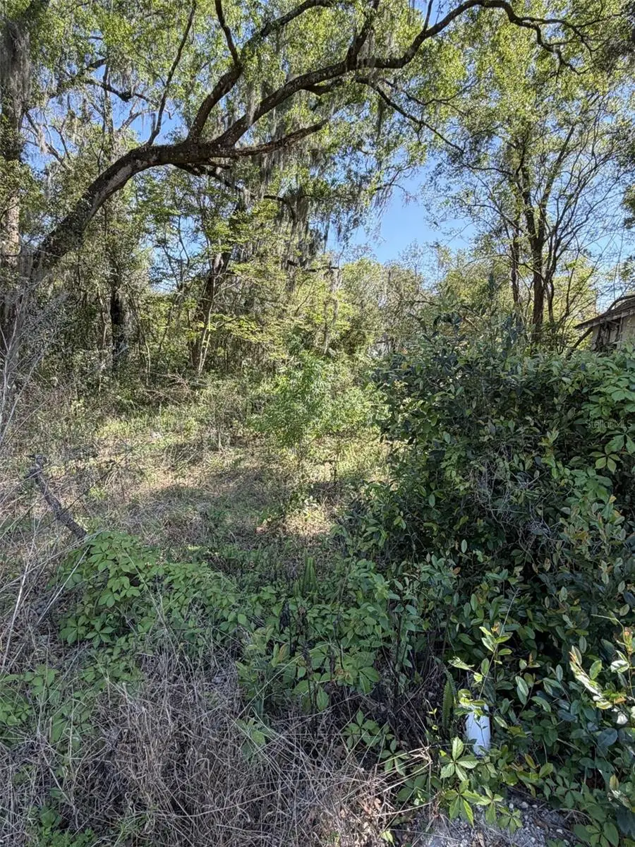 110 E Mercers Fernery Road, Deland, FL 32724 - #2