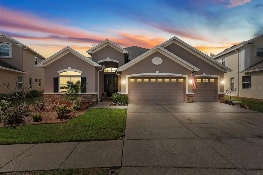 3247 Diamond Falls Circle, Land O Lakes, FL 34638 - #3