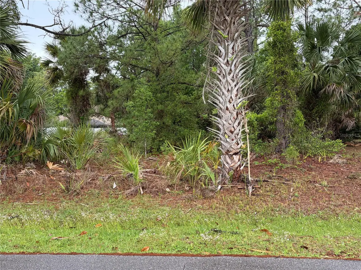 31 Whittingham Lane, Palm Coast, FL 32164 - #1