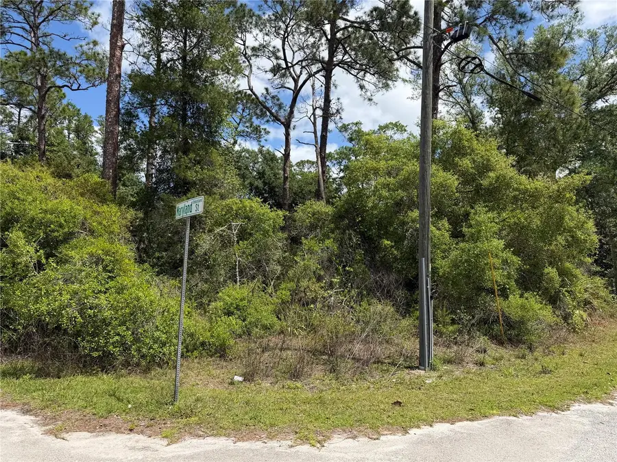 Maryland Street, Paisley, FL 32767 - #3