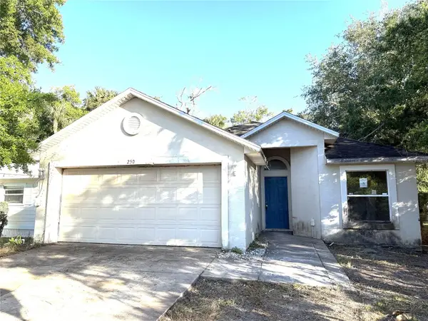 250 Willow Place, ORMOND BEACH, FL 32174