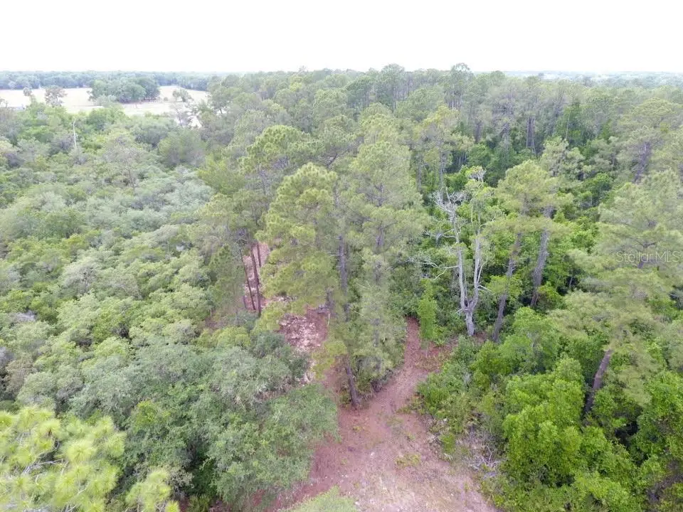 161 Snake Hill Road, Crescent City, FL 32112 - #1