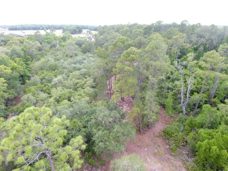 155 Snake Hill Road, Pomona Park, FL 32181 - #1