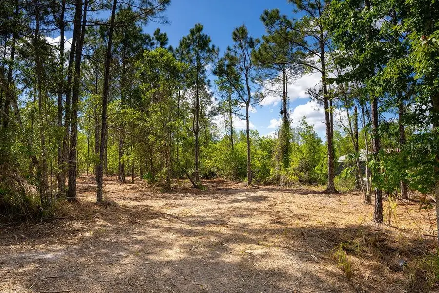 3770 Balsam Court, Ormond Beach, FL 32174 - #3