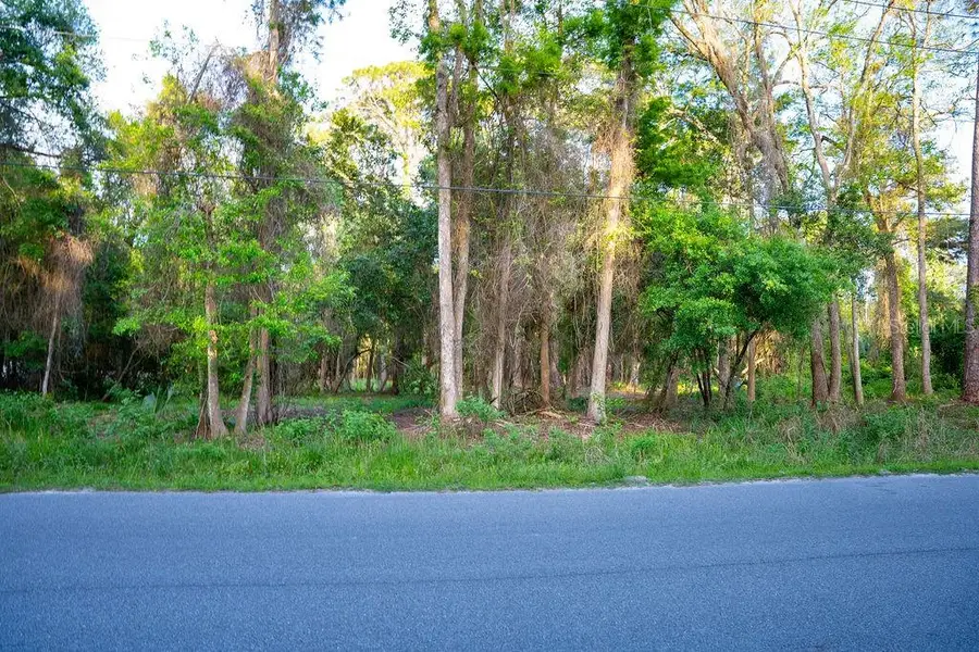 172 Whispering Pines Road, Georgetown, FL 32139 - #3