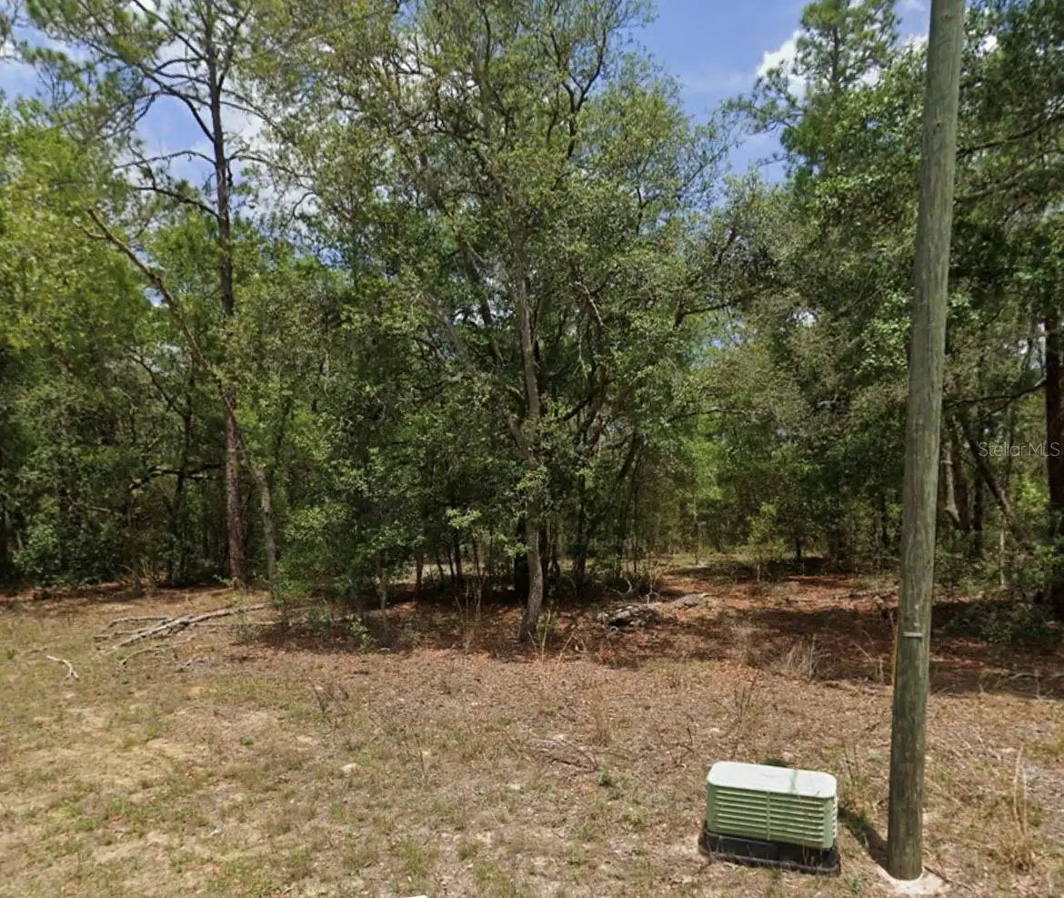 11304 N Fuego Drive, Citrus Springs, FL 34434 - #1