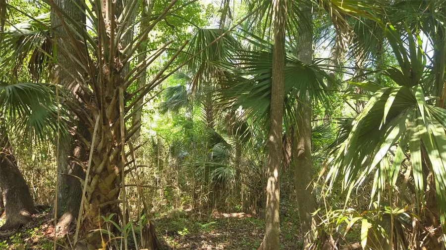 2140 St Johns River Road, Astor, FL 32102 - #3
