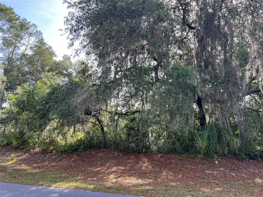 Ranchero Road, Deland, FL 32720 - #2