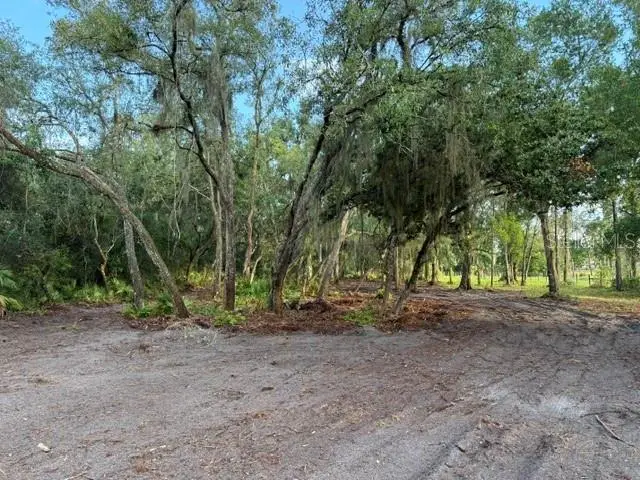 Spring Garden Ranch Rd, De Leon Springs, FL 32130 - #2
