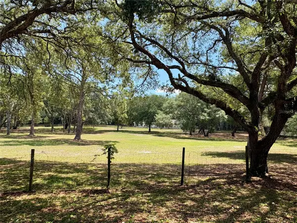 390 Foothill Farms Road, ORANGE CITY, FL 32763
