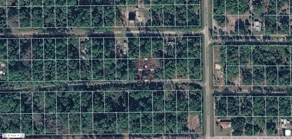 224 Dogwood Avenue, GEORGETOWN, FL 32139