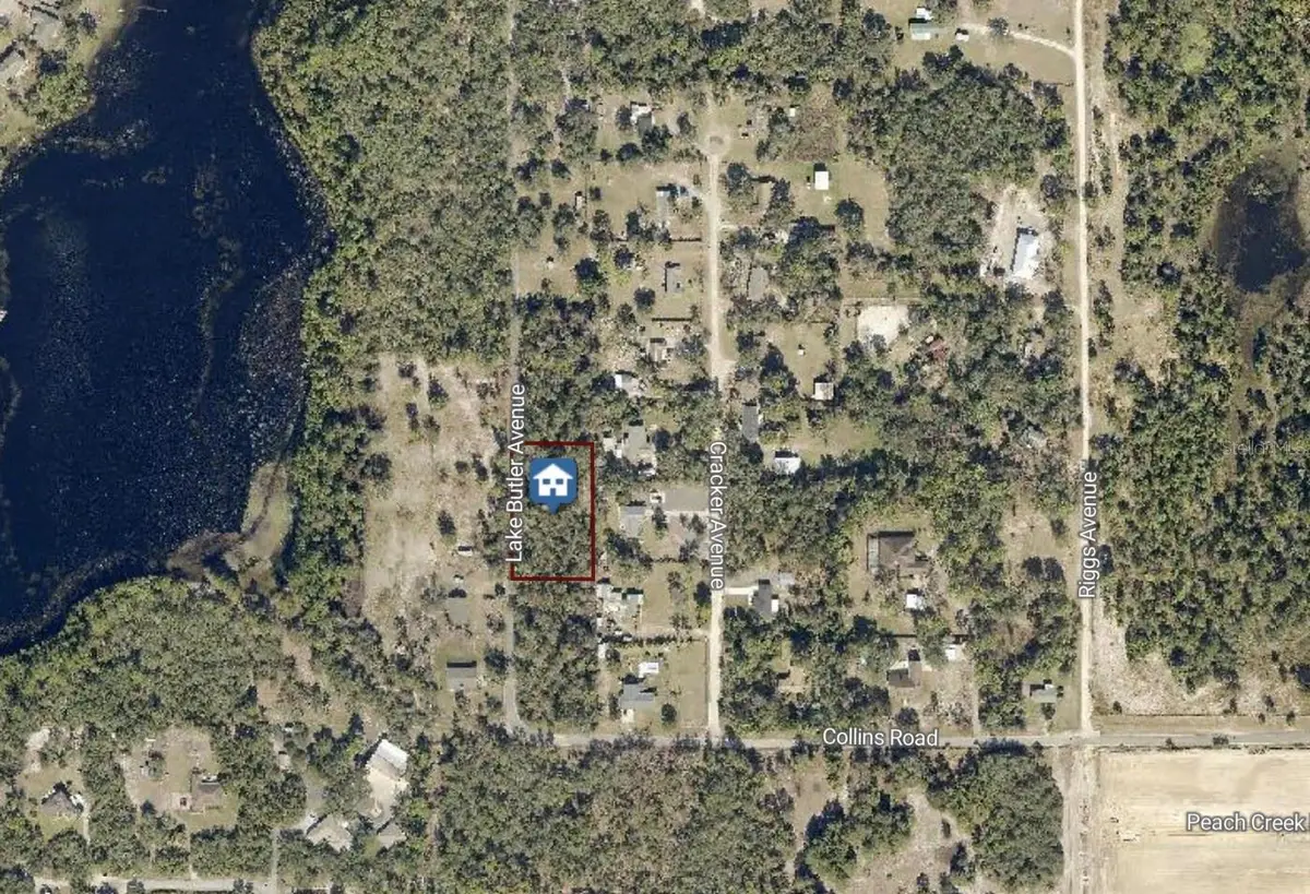 615 Lake Butler Avenue, Osteen, FL 32764 - #1