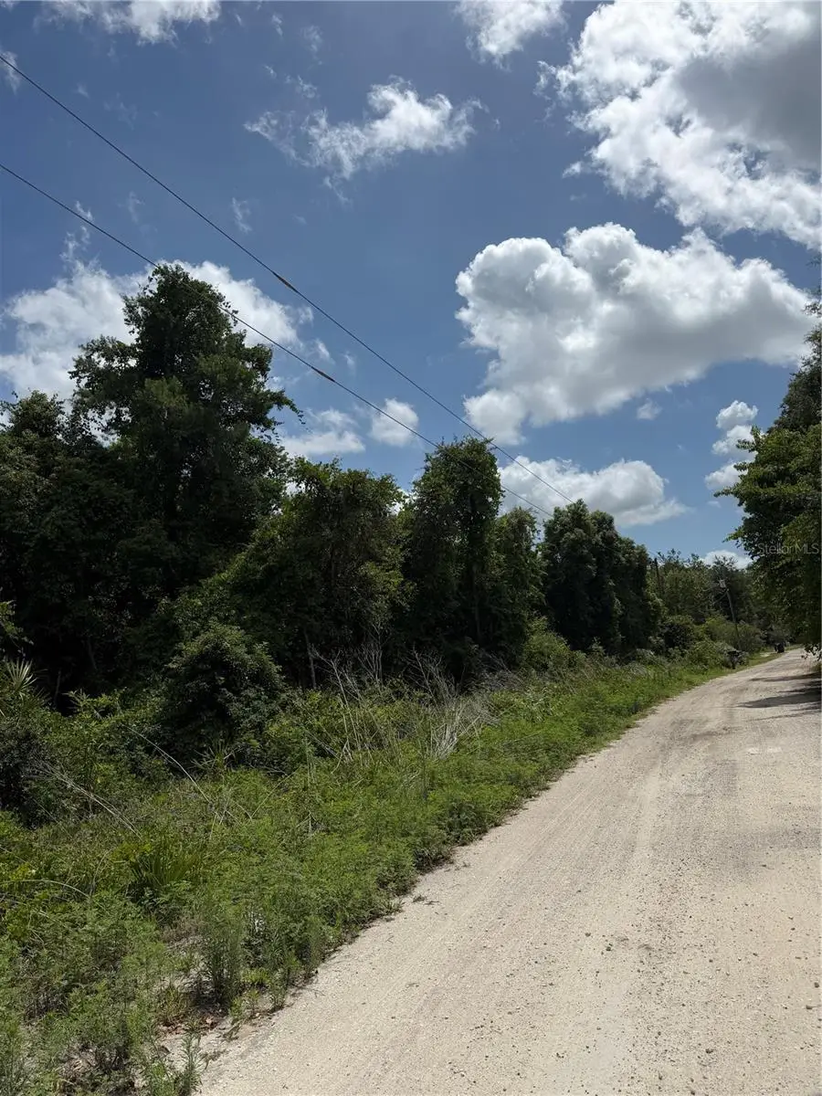 Palmetto Circle, Paisley, FL 32767 - #2