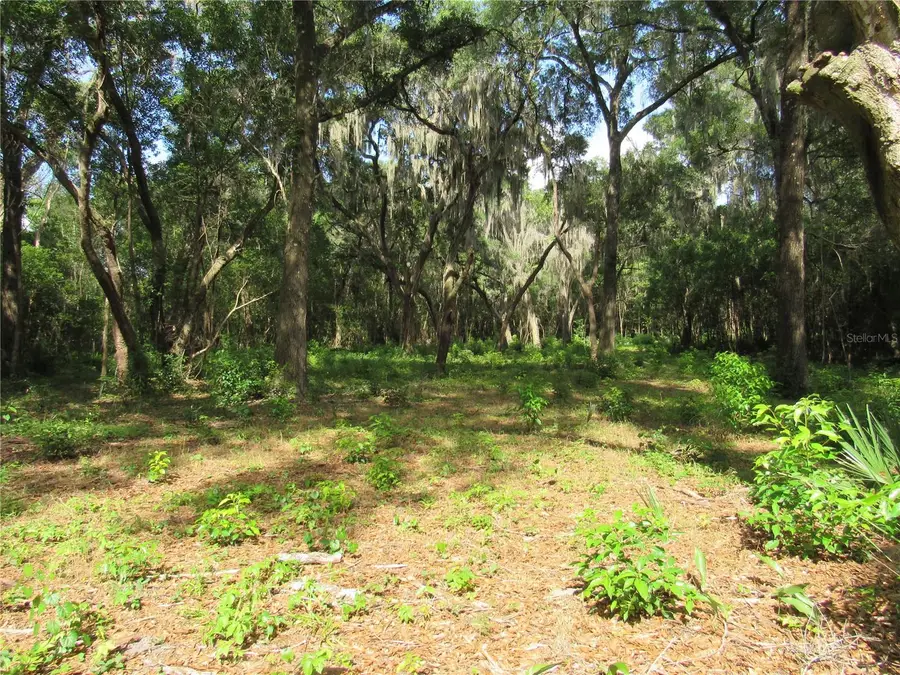 Oak Valley Drive, Deland, FL 32720 - #3