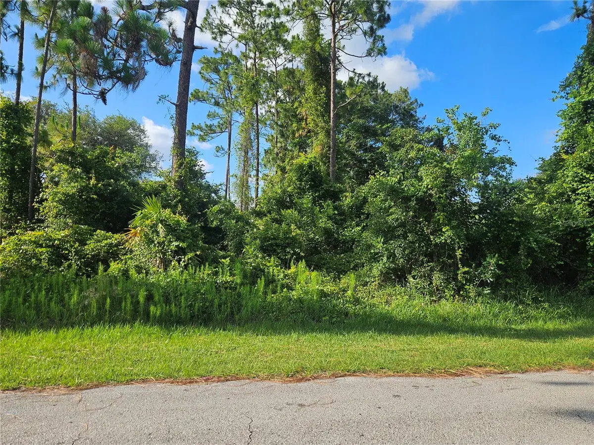 2318 Whitehorse Street, Deltona, FL 32738 - #1