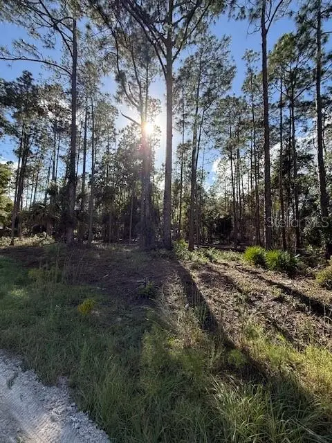 215 Hideaway Lane, Georgetown, FL 32139 - #1