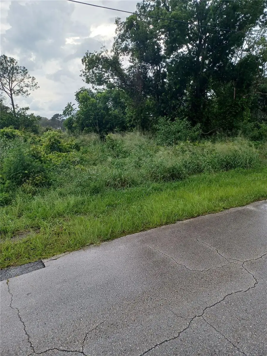 2664 Hoover Drive, Deltona, FL 32738 - #1