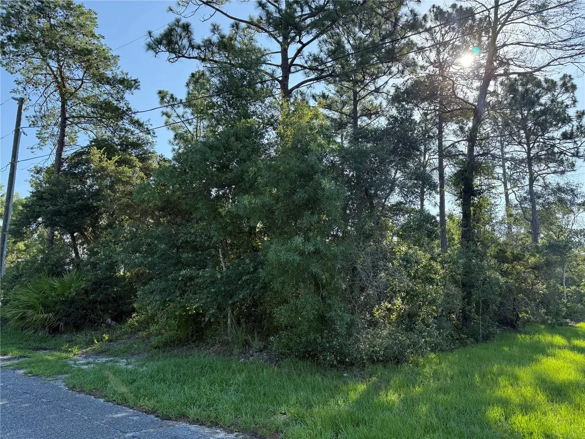 Hickory Avenue, Orange City, FL 32763 - #1