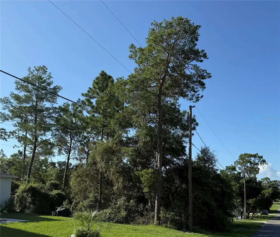 Hickory Avenue, Orange City, FL 32763 - #2