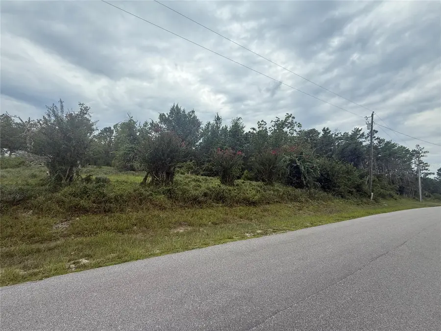 31514 Division Street, Deland, FL 32720 - #2