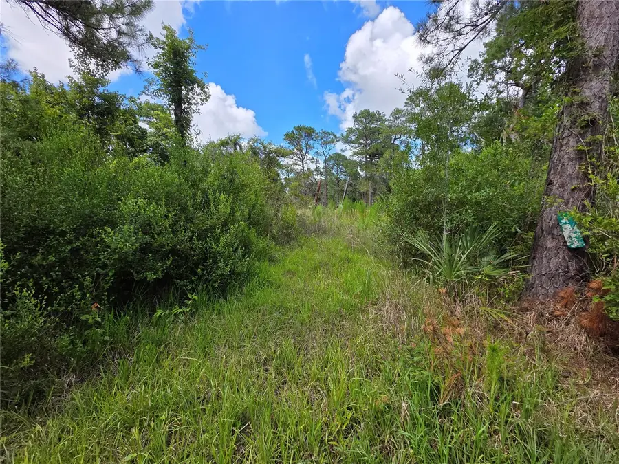 4863 Meadow Green Road, Mims, FL 32754 - #2