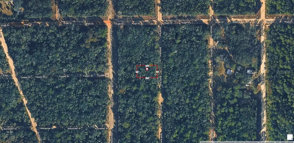 Brett Avenue, Interlachen, FL 32148 - #1