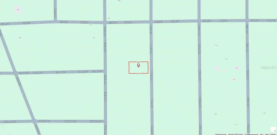 Brett Avenue, Interlachen, FL 32148 - #2