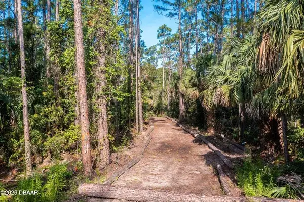 7 Remington Road, ORMOND BEACH, FL 32174