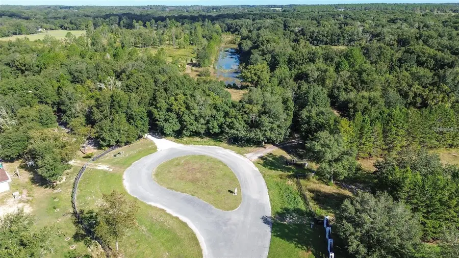 Tree Frog Lot 6 Lane, Eustis, FL 32736 - #2