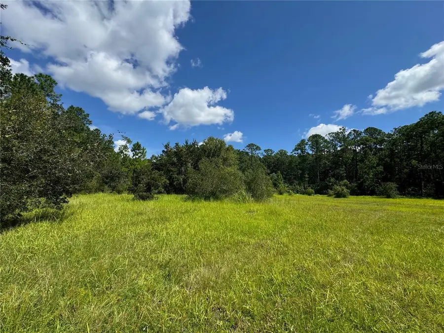 2750 Big John Drive, Deland, FL 32724 - #2