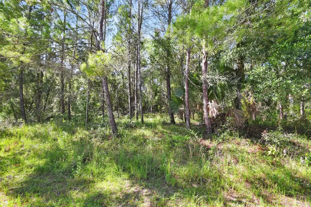 1964 S Farm Road, Deland, FL 32720 - #1