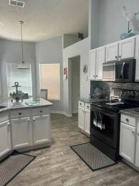 25078 Riverwalk Drive, Leesburg, FL 34748 - #2