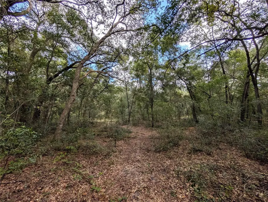 126 Cherry Drive, Pomona Park, FL 32181 - #2