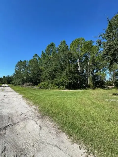 Woodland Avenue, Paisley, FL 32767 - #2
