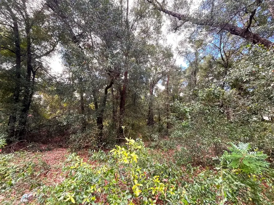 839 County Road 308b, Pomona Park, FL 32181 - #3