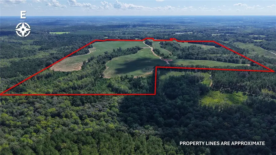 31027 Us Highway 331, Opp, AL 36467 - #2