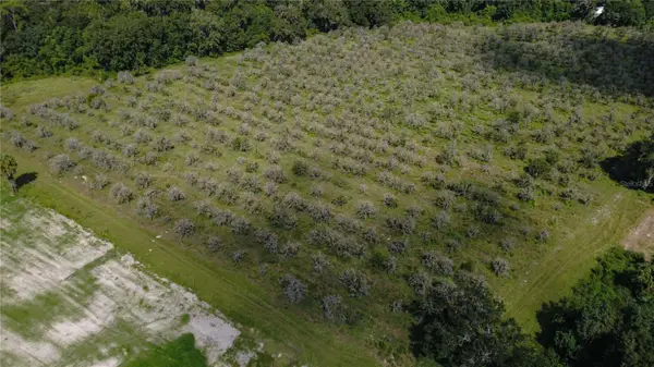 Holly Hammock Road, DE LEON SPRINGS, FL 32130