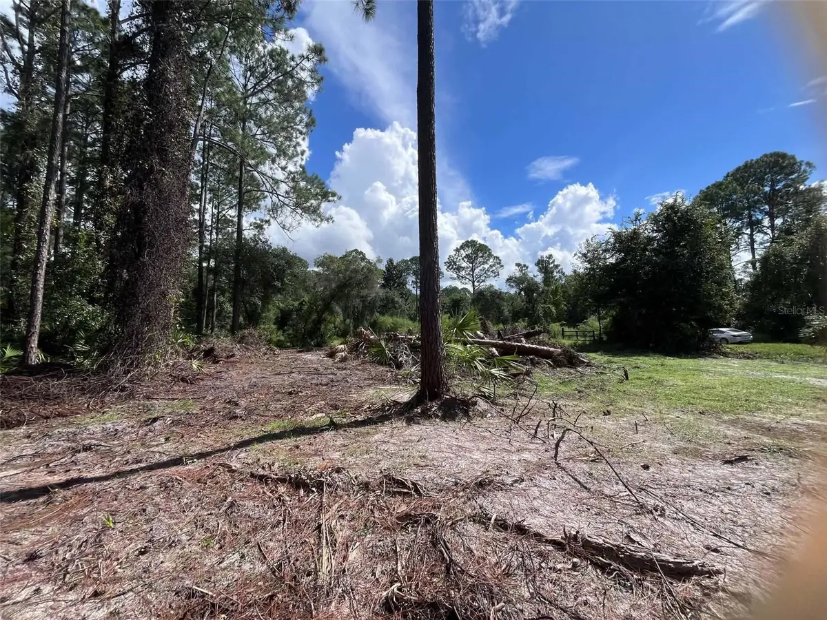 334 Redwood Boulevard, Georgetown, FL 32139 - #1