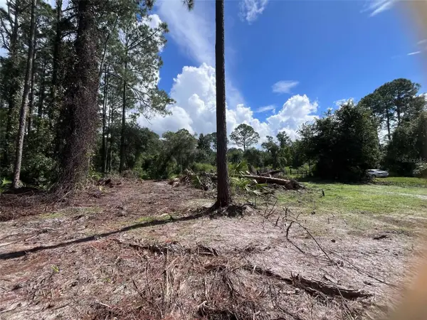 334 Redwood Boulevard, GEORGETOWN, FL 32139