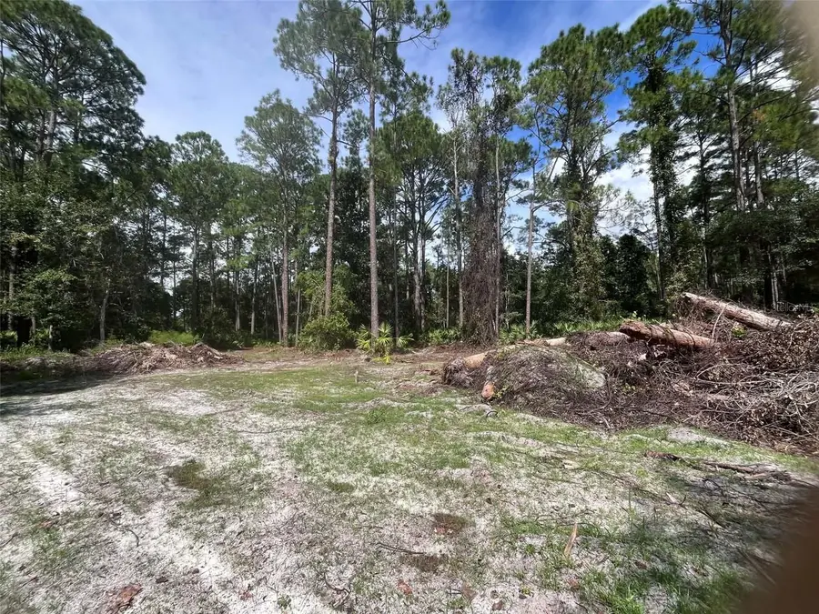 334 Redwood Boulevard, Georgetown, FL 32139 - #3