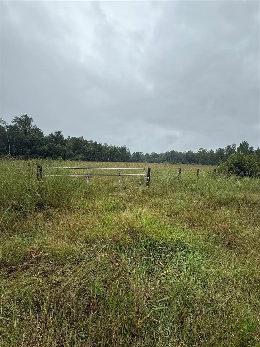 765 N Us Highway 17, Pierson, FL 32180 - #3