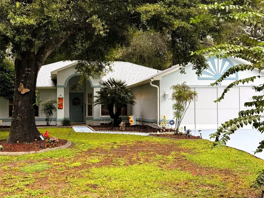8879 N Sandree Drive, Citrus Springs, FL 34434 - #2