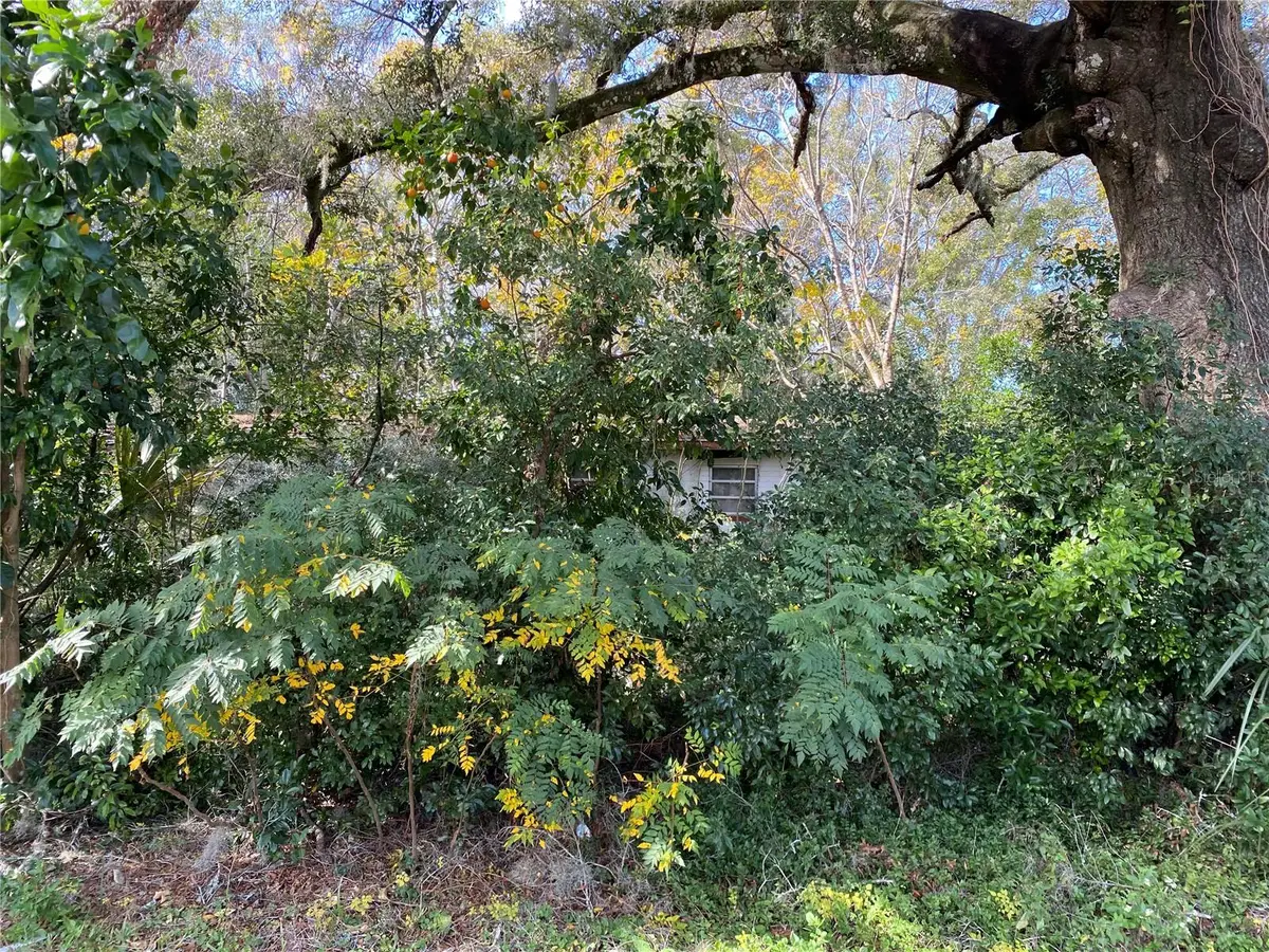 534 S Dexter Avenue, Deland, FL 32720 - #1
