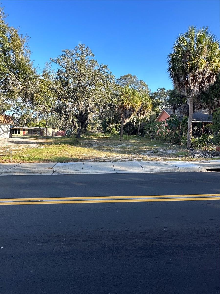 Martin Luther King Jr Drive, TARPON SPRINGS, FL 34689 BHGRE