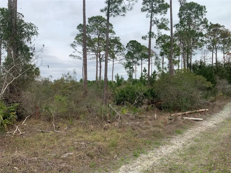 Address Withheld By Seller, Cedar Key, FL 32625 - Image #2