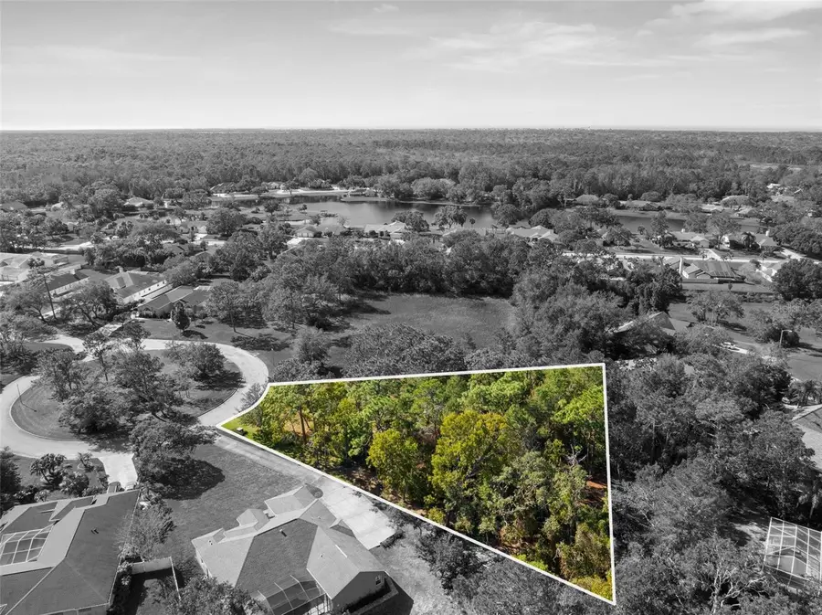 4289 Lordings Lane, Spring Hill, FL 34607 - Image #3