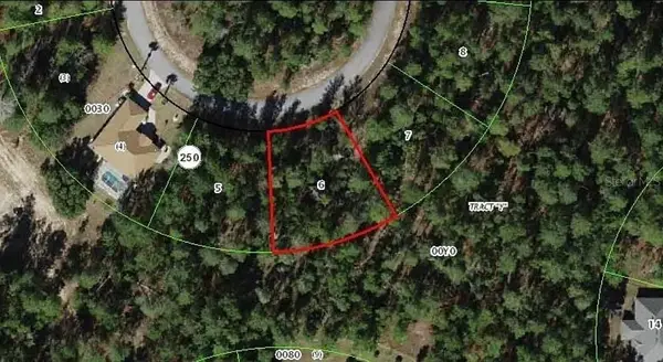 13 Scabiosa Court, HOMOSASSA, FL 34446