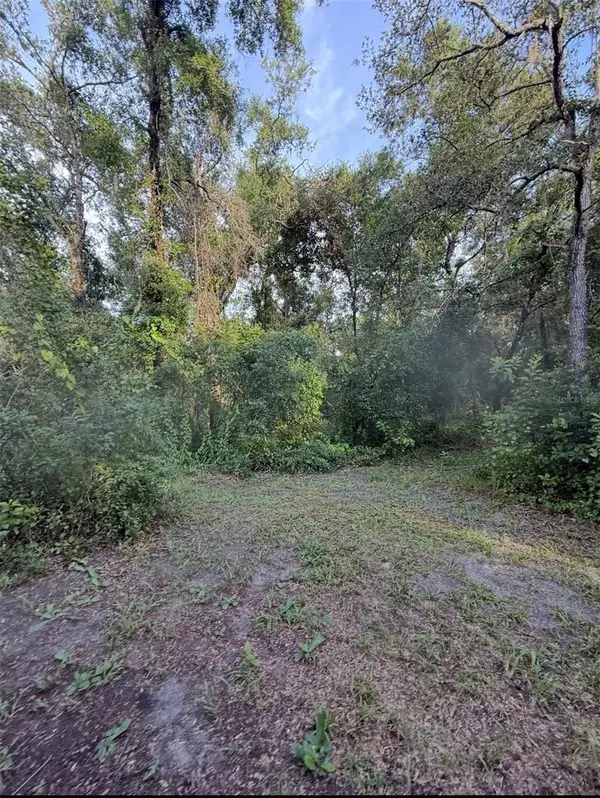 12300 Walter Street, HUDSON, FL 34669
